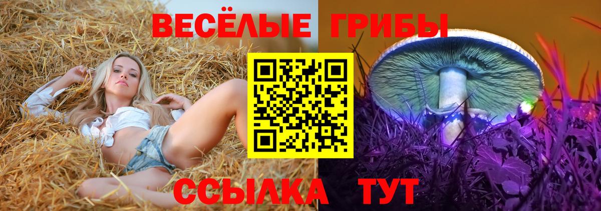 Феодосия  Галлюциногенные грибы мухоморы  Вход с VPN  Галлюциногенные грибы ЛСД 