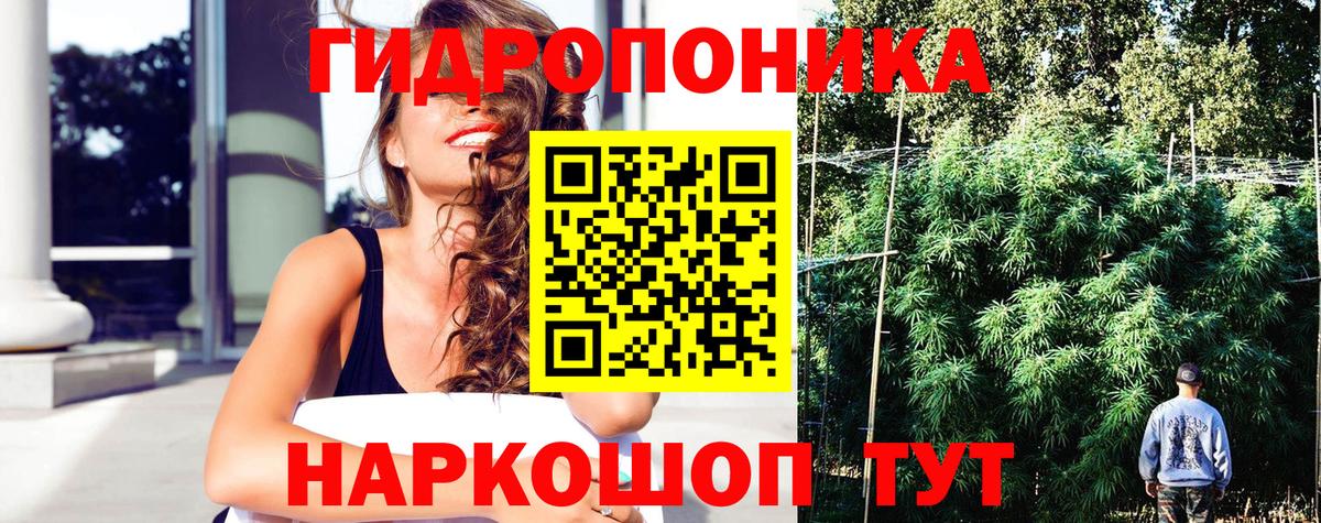 Шишки марихуана планчик  Бошки марихуана LSD WEED  Марихуана план  Вход с VPN  Феодосия  Марихуана тримм 